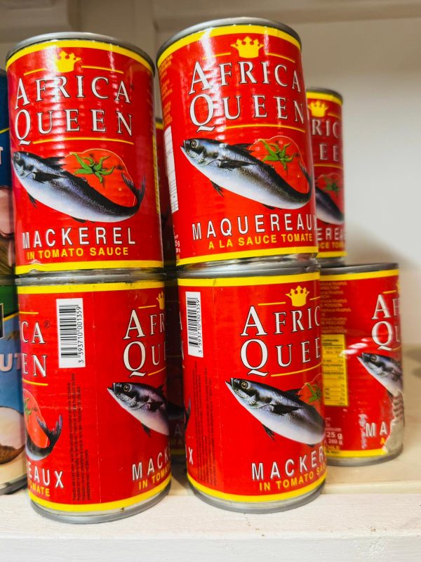African Queen Mackerel fish